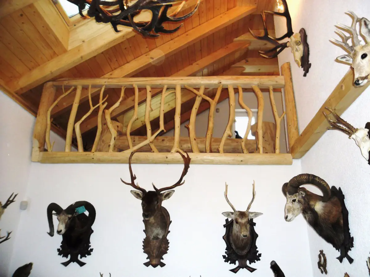 Interiéry a schodiště-30