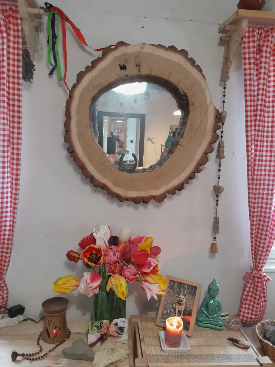 Zrcadlo v dutém kmeni