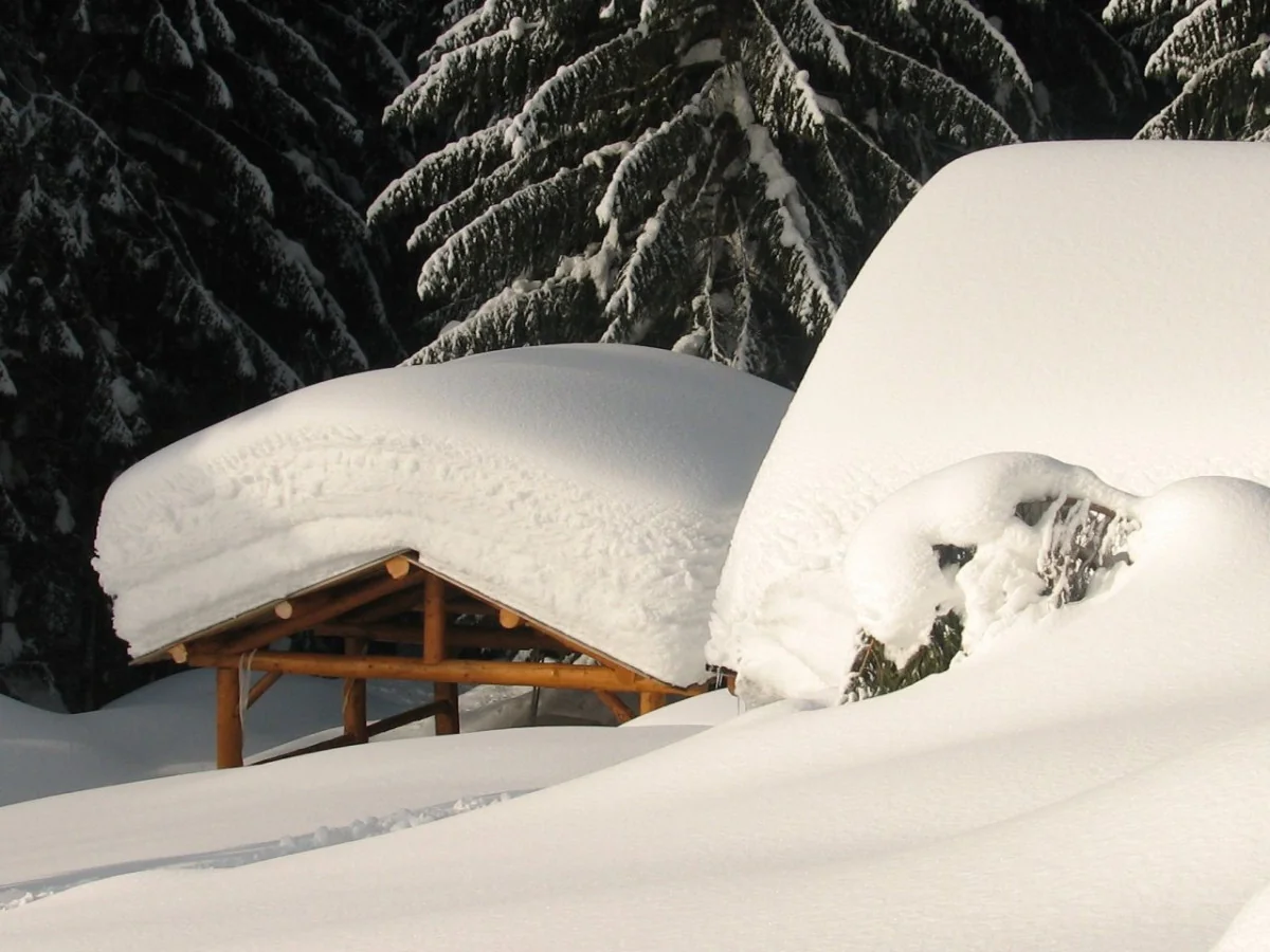 Zahradní stavby a sauny-10