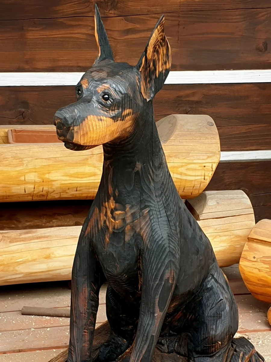 Dobrman motorovou pilou