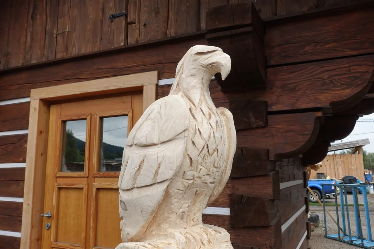 Orel motorovou pilou