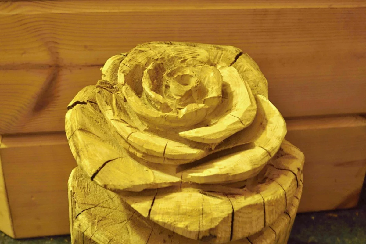 Růže motorovou pilou