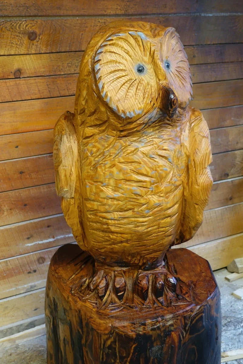 Sova motorovou pilou