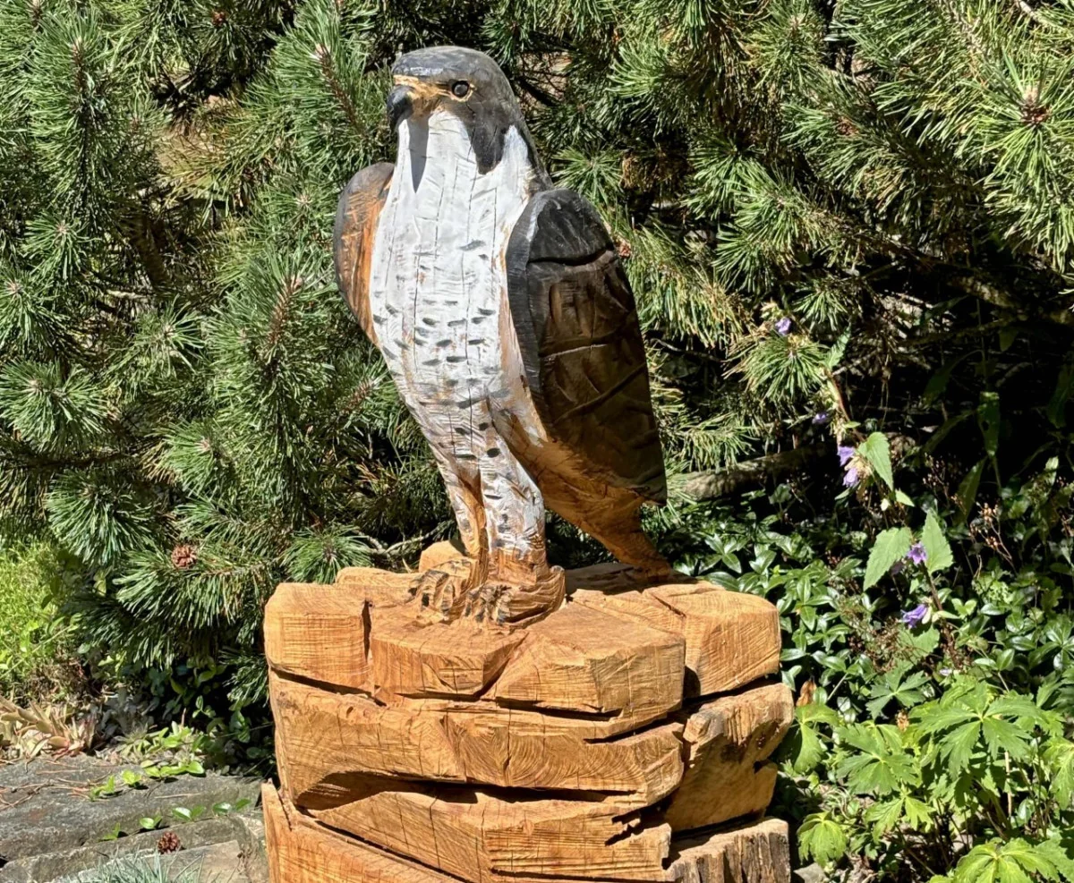 Sokol motorovou pilou